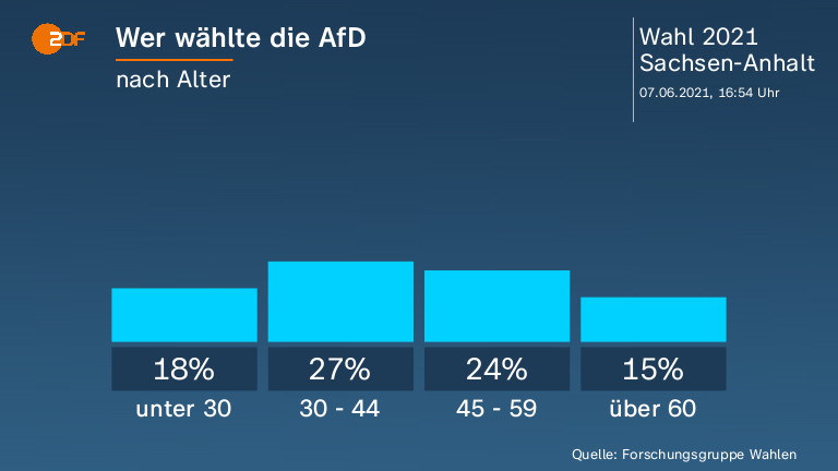 Wer wählte die AfD