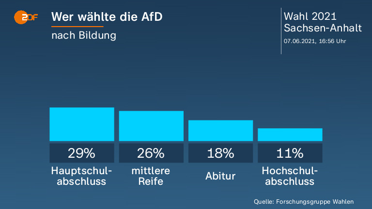 Wer wählte die AfD