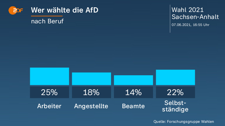 Wer wählte die AfD