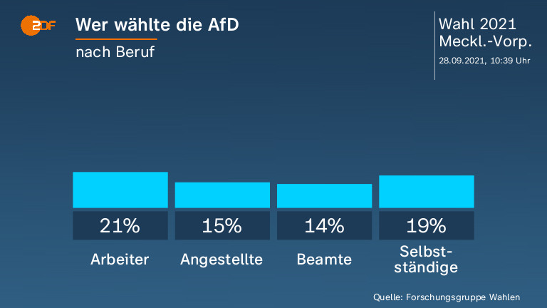 Wer wählte die AfD
