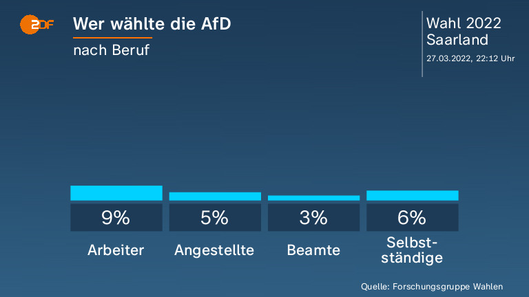 Wer wählte die AfD