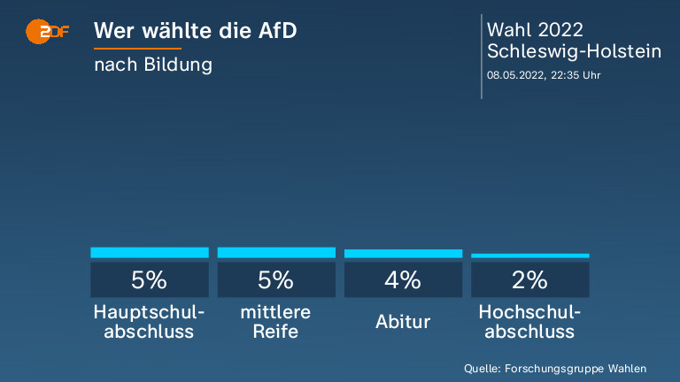 Wer wählte die AfD