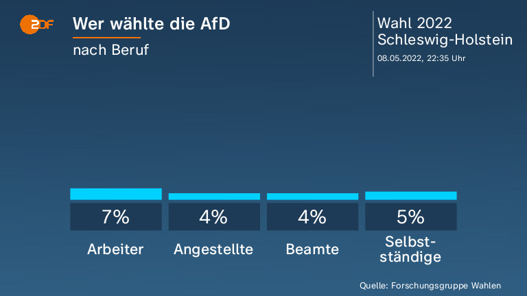 Wer wählte die AfD