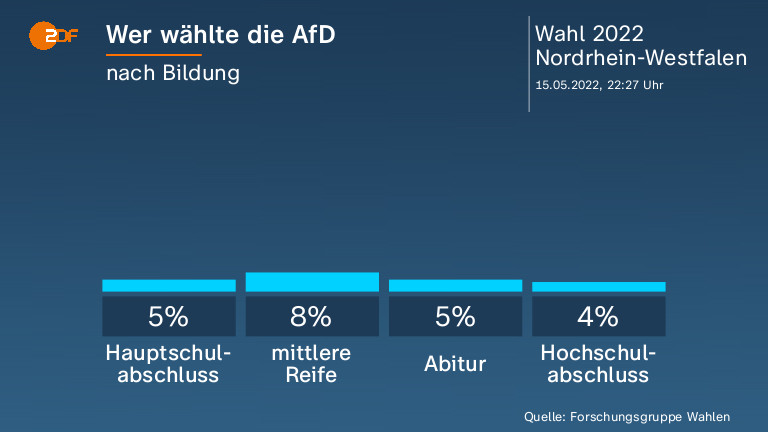 Wer wählte die AfD