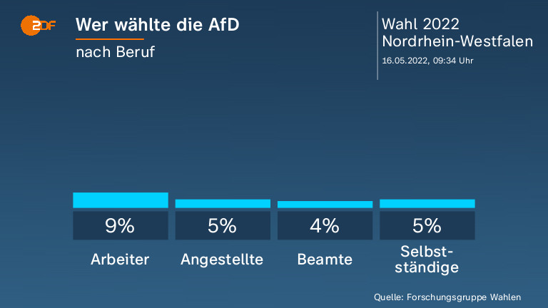 Wer wählte die AfD