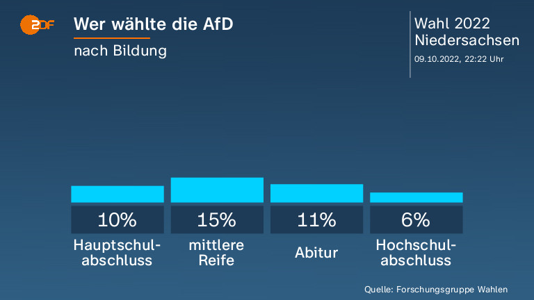 Wer wählte die AfD