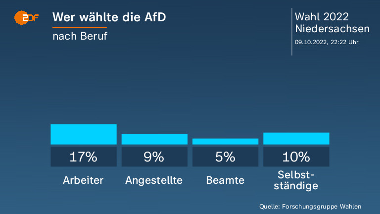 Wer wählte die AfD
