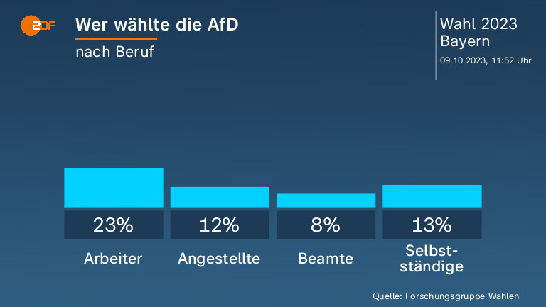 Wer wählte die AfD