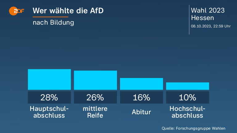 Wer wählte die AfD