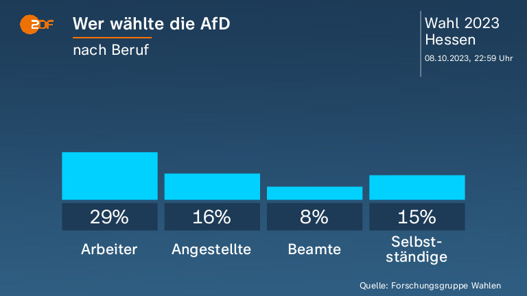 Wer wählte die AfD