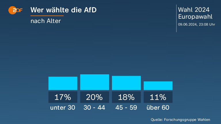 Wer wählte die AfD