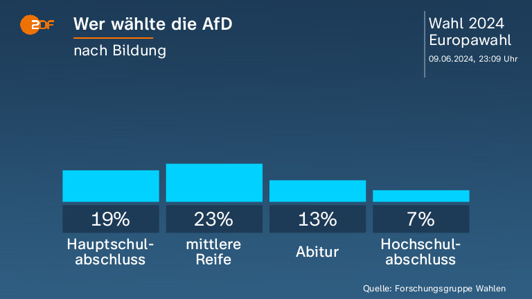 Wer wählte die AfD