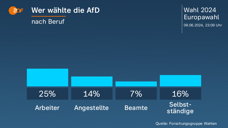 Wer wählte die AfD