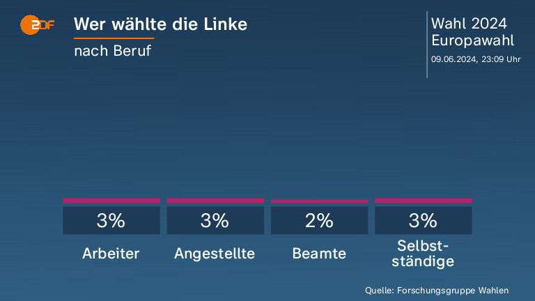 Wer wählte die Linke