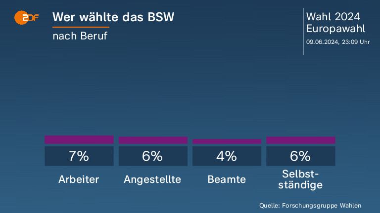 Wer wählte das BSW
