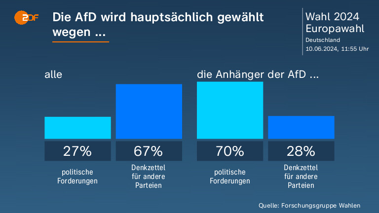 Die AfD wird hauptsächlich gewählt wegen ...