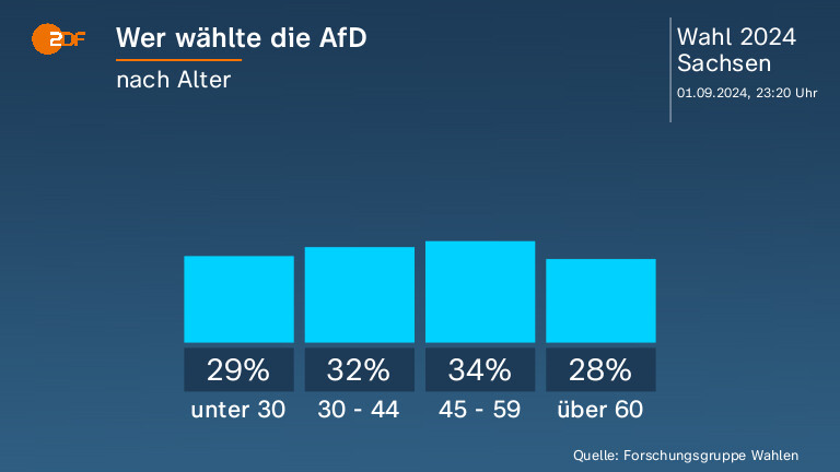 Wer wählte die AfD