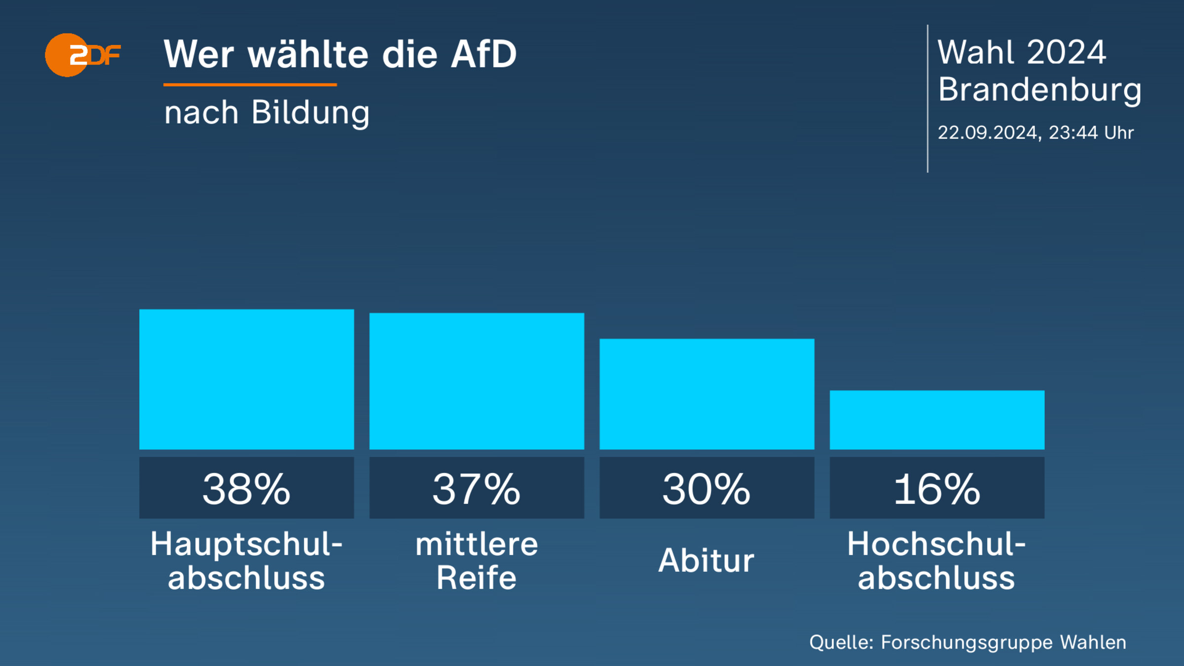 Wer wählte die AfD