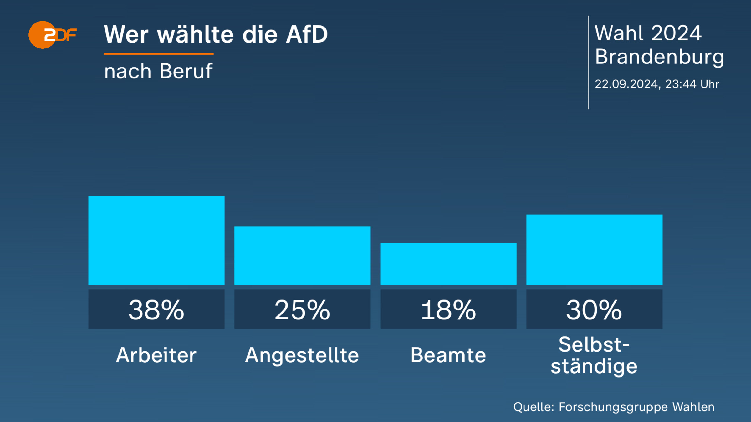 Wer wählte die AfD