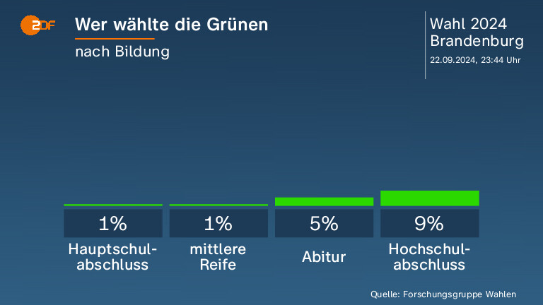 Wer wählte die Grünen