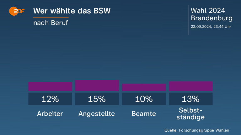 Wer wählte das BSW