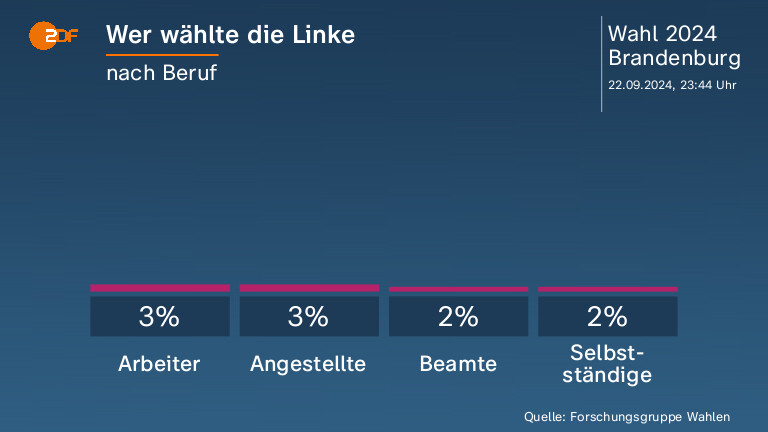 Wer wählte die Linke