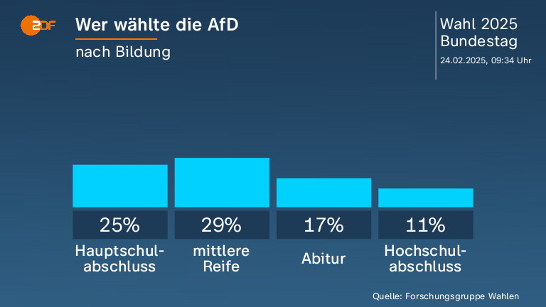 Wer wählte die AfD