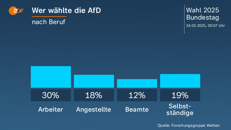 Wer wählte die AfD