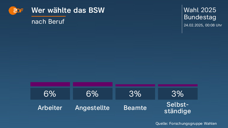 Wer wählte das BSW