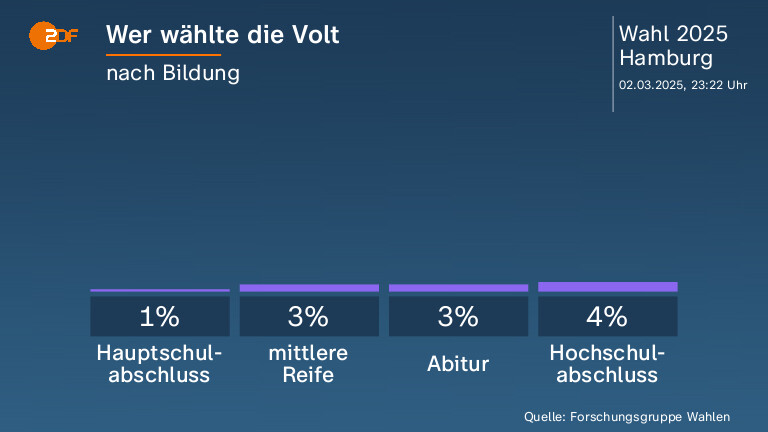 Wer wählte die Volt