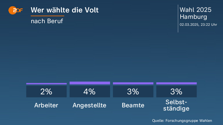 Wer wählte die Volt