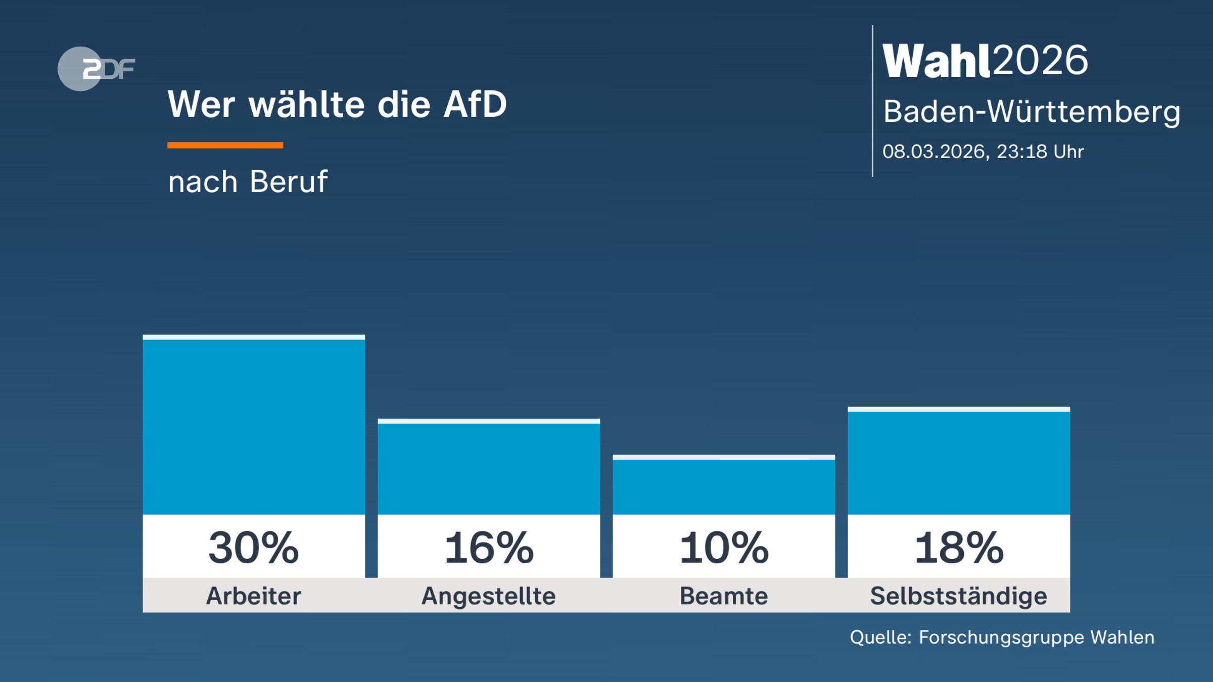 Wer wählte die AfD