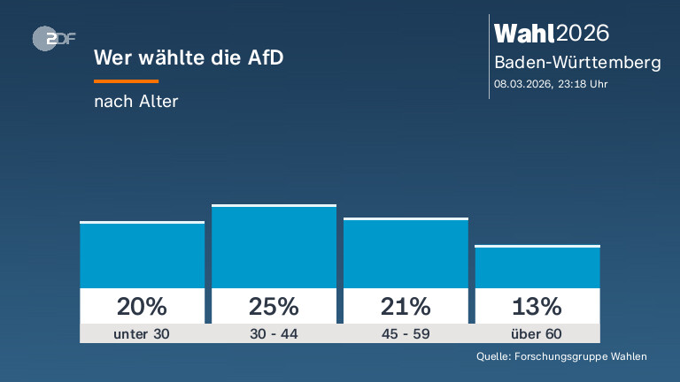 Wer wählte die AfD