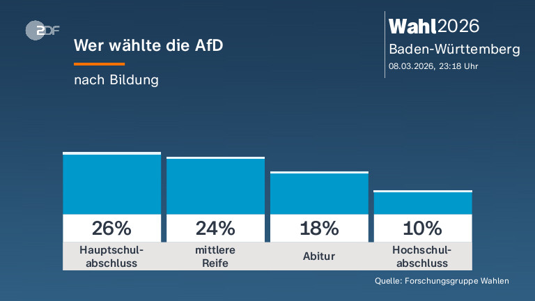 Wer wählte die AfD