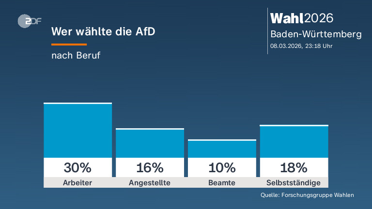 Wer wählte die AfD