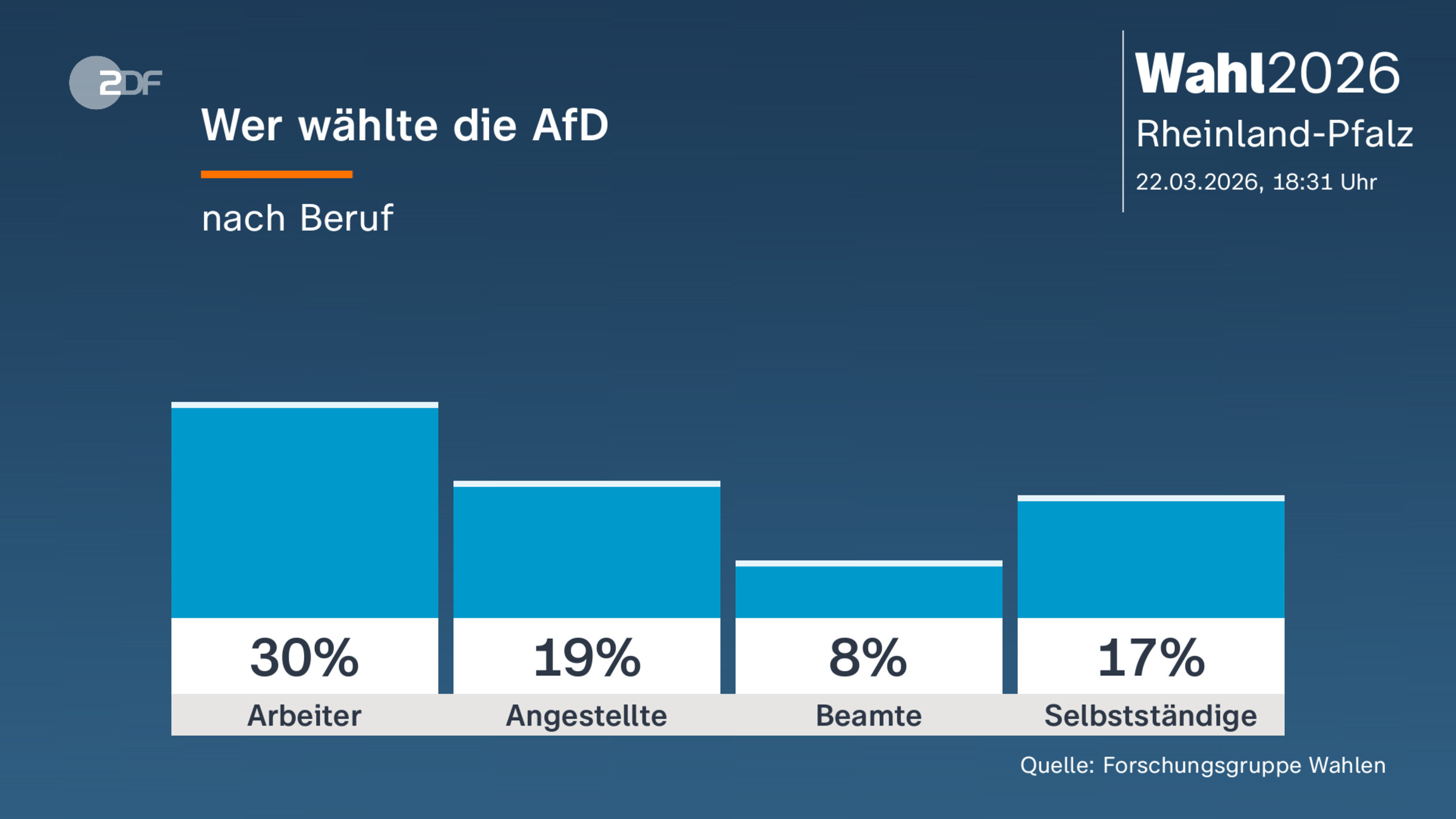 Wer wählte die AfD