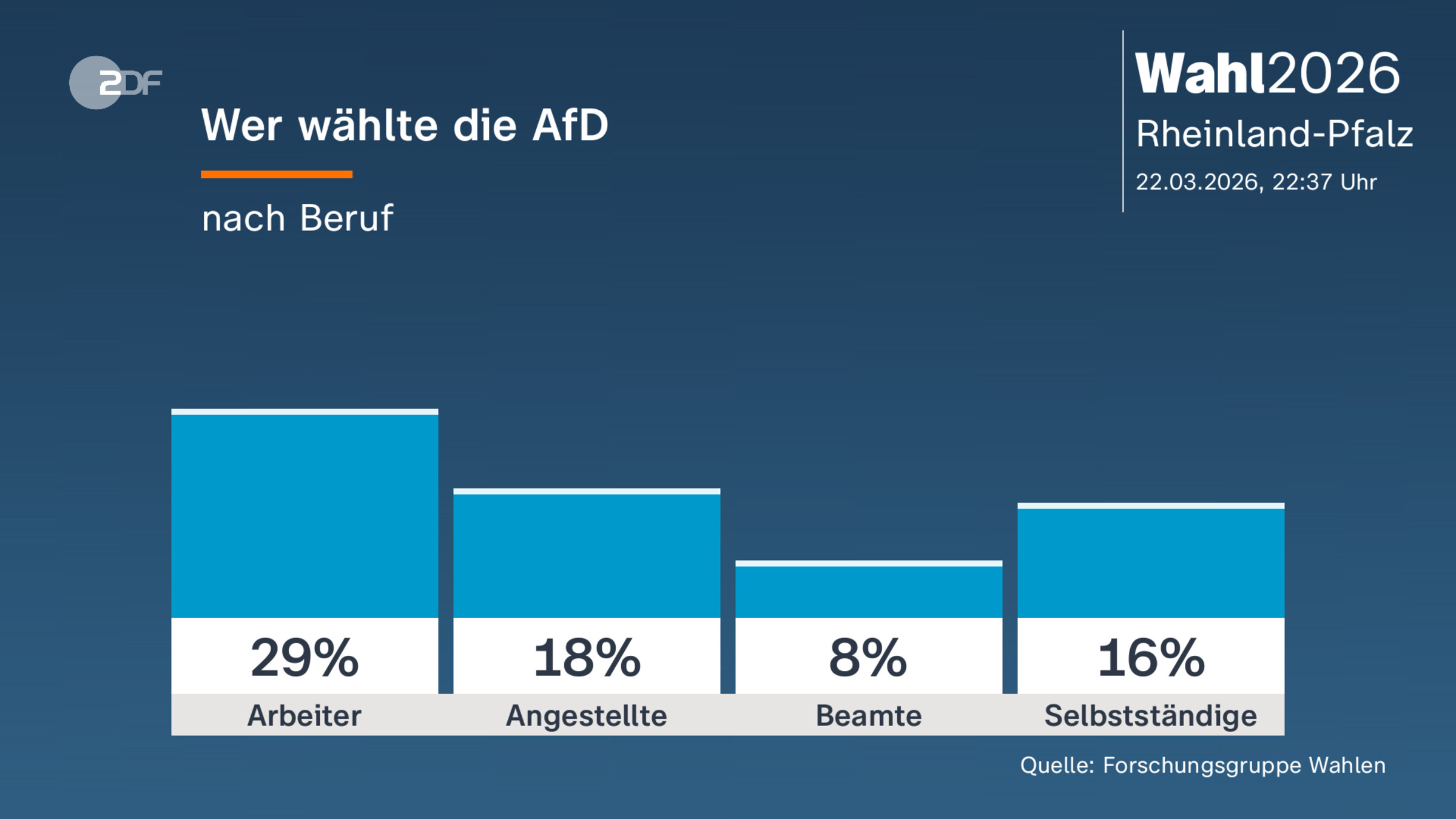 Wer wählte die AfD