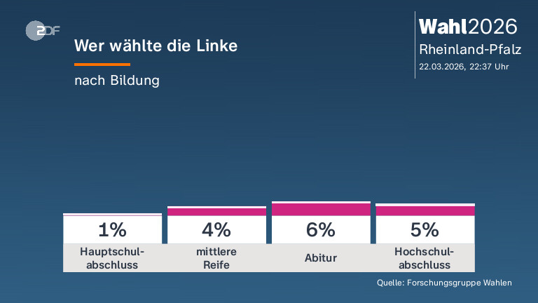 Wer wählte die Linke