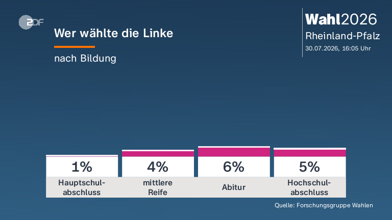 Wer wählte die Linke
