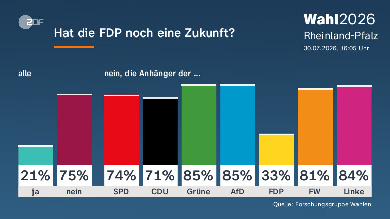Hat die FDP noch eine Zukunft?