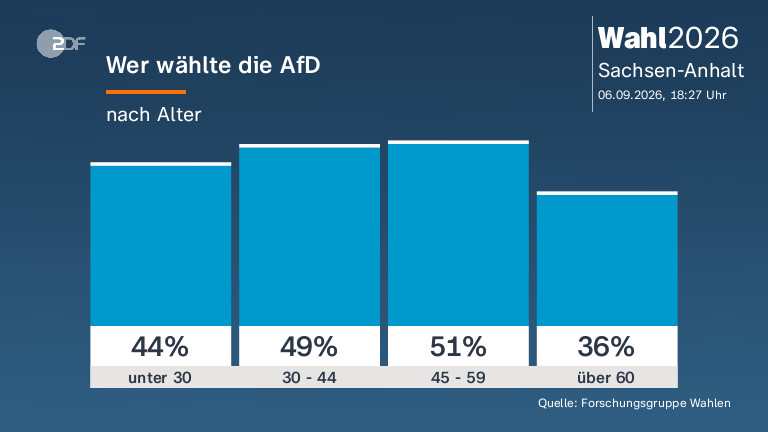 Wer wählte die AfD