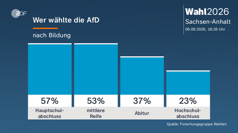 Wer wählte die AfD