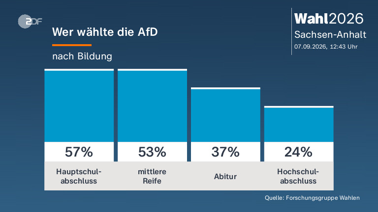 Wer wählte die AfD