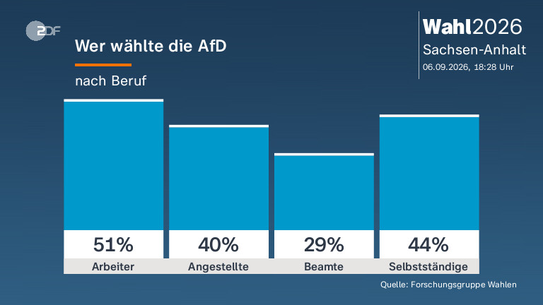 Wer wählte die AfD