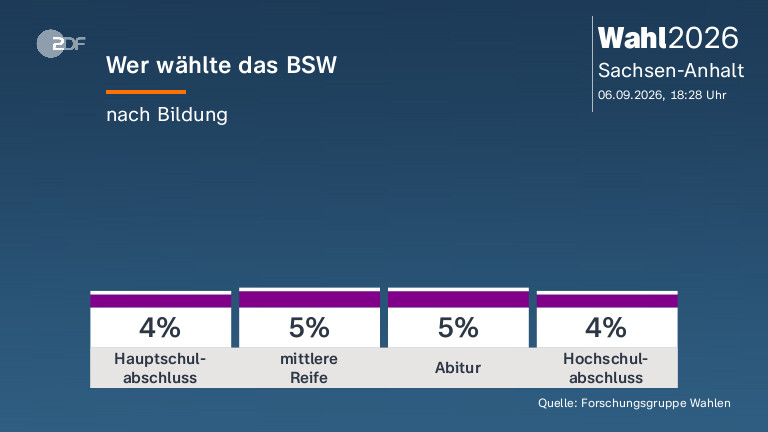 Wer wählte das BSW