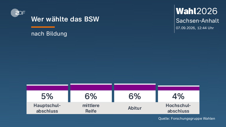 Wer wählte das BSW