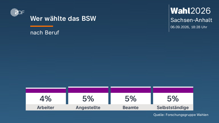 Wer wählte das BSW