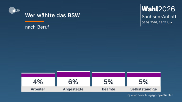 Wer wählte das BSW