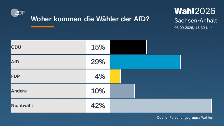 Woher kommen die Wähler der AfD?