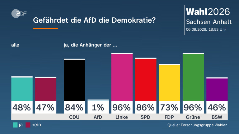 Gefährdet die AfD die Demokratie?